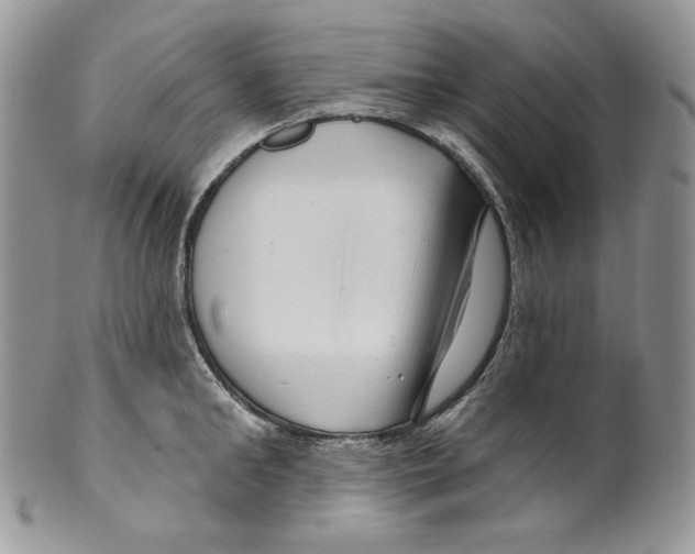 X0000099560902200806131231