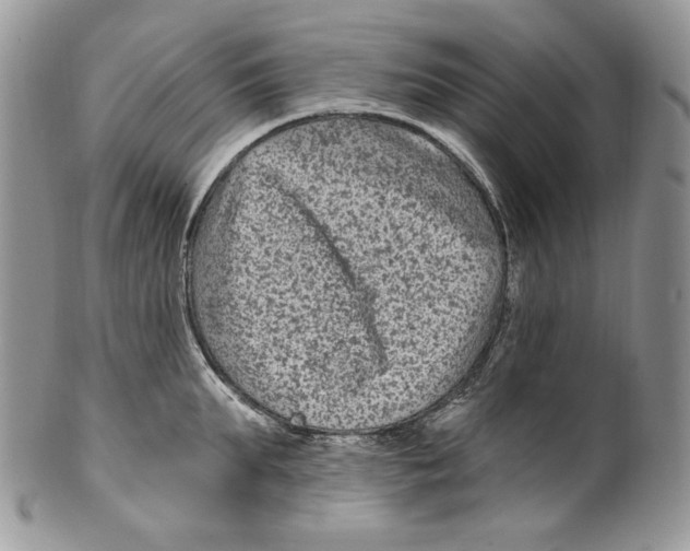 X0000099560903200806131231