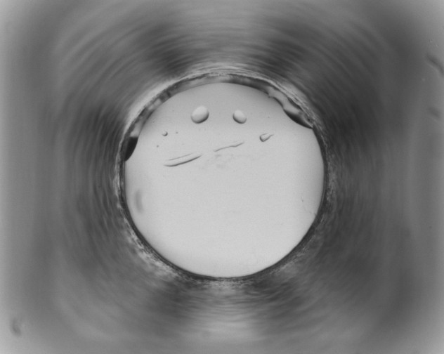 X0000099560904200806131231