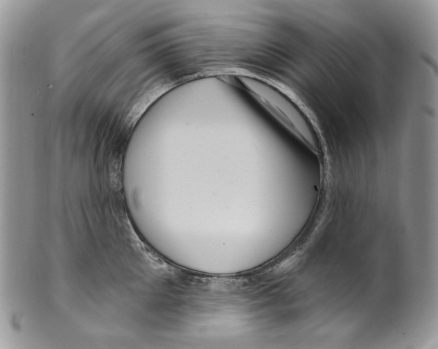 X0000099560905200806131231