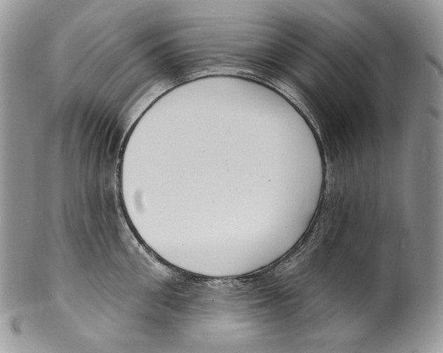 X0000099560906200806131231