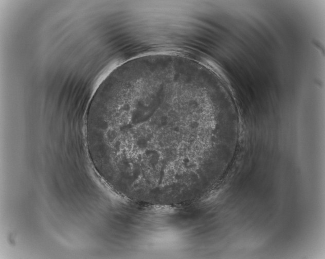 X0000099560907200806131231