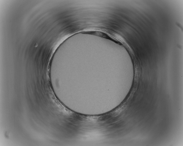 X0000099560908200806131231