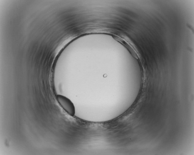 X0000099560909200806131231