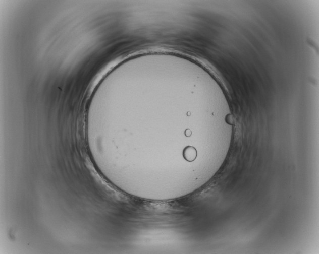 X0000099560911200806131231