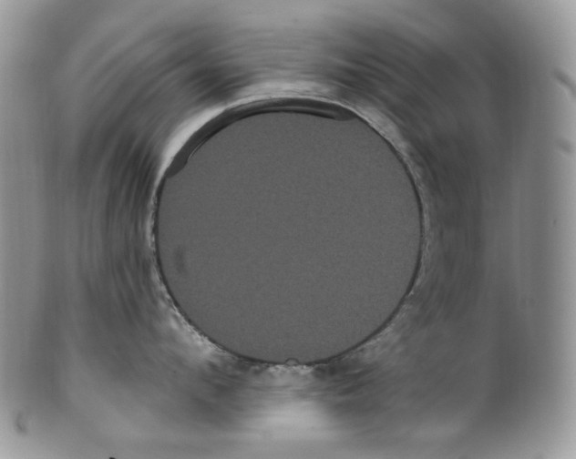 X0000099560912200806131231