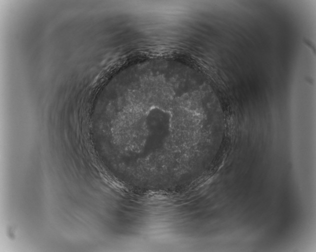 X0000099560913200806131231