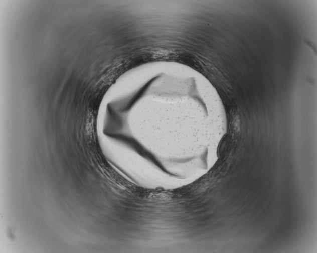 X0000099560914200806131231