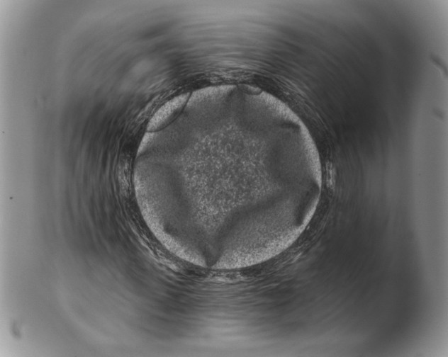 X0000099560915200806131231