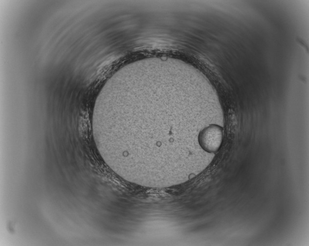 X0000099560918200806131231