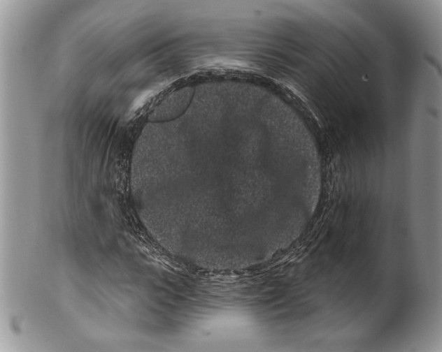 X0000099560919200806131231