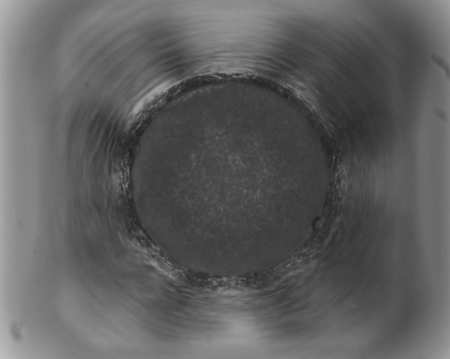 X0000099560920200806131231