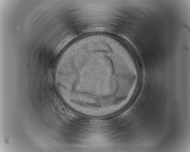 X0000099560921200806131231