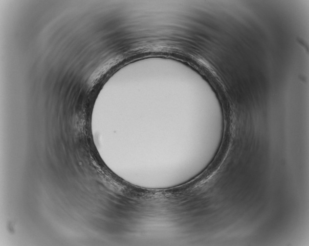 X0000099560922200806131231