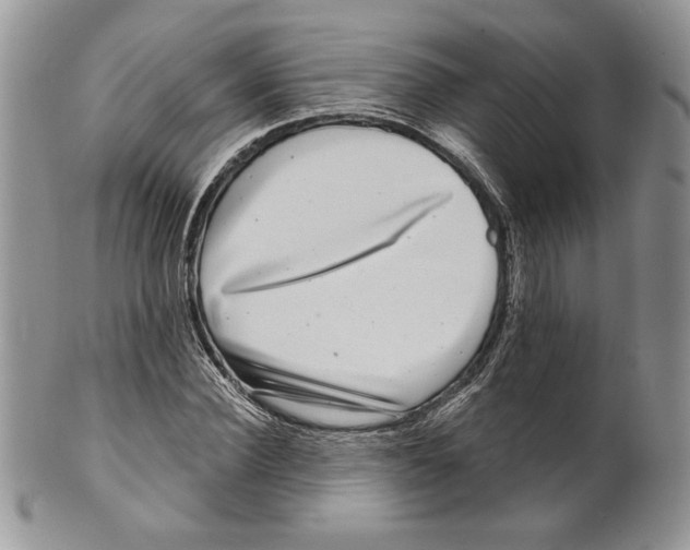 X0000099560924200806131231