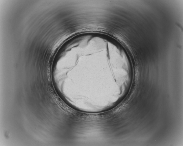 X0000099560925200806131231