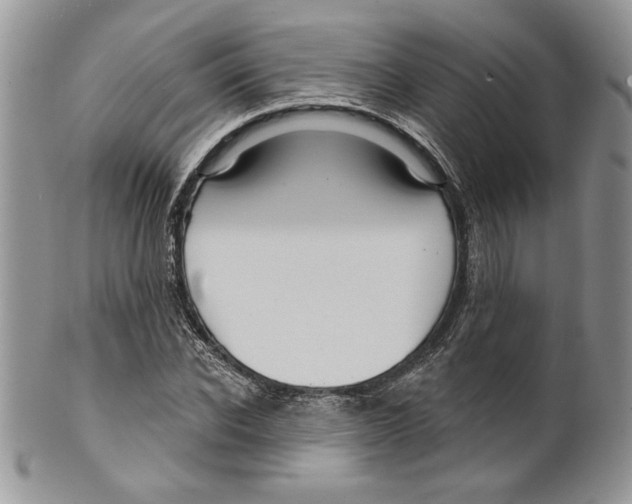 X0000099560926200806131231