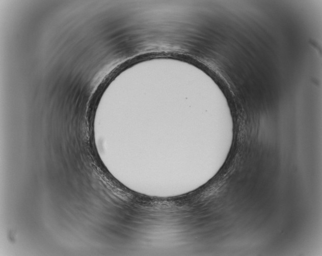 X0000099560927200806131231