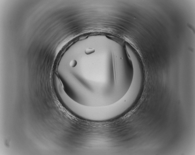 X0000099560928200806131231