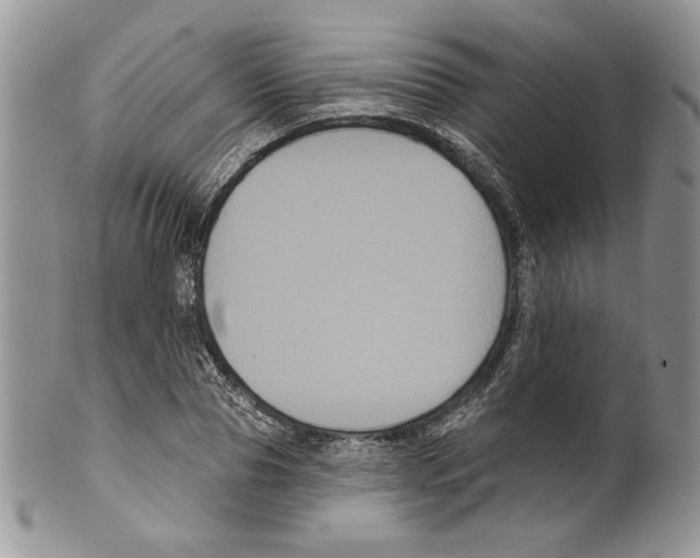 X0000099560929200806131231