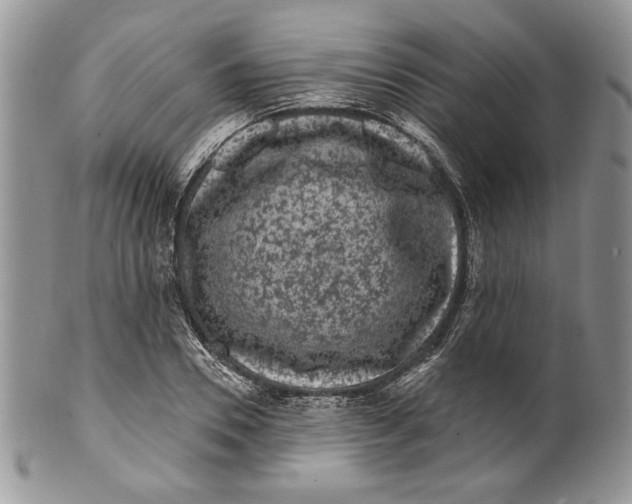 X0000099560930200806131231