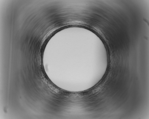 X0000099560931200806131231