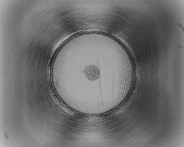 X0000099560933200806131231