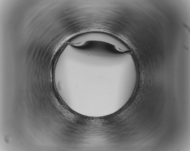 X0000099560934200806131231