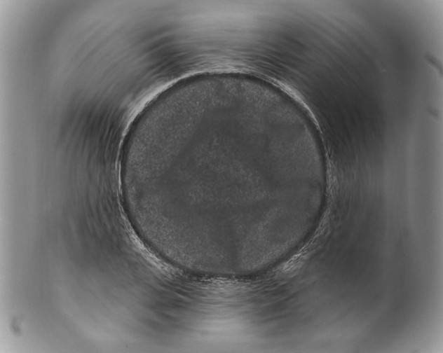 X0000099560935200806131231