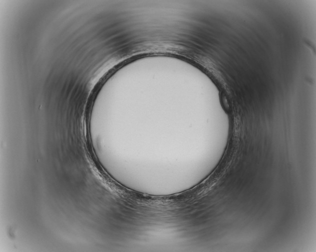 X0000099560936200806131231