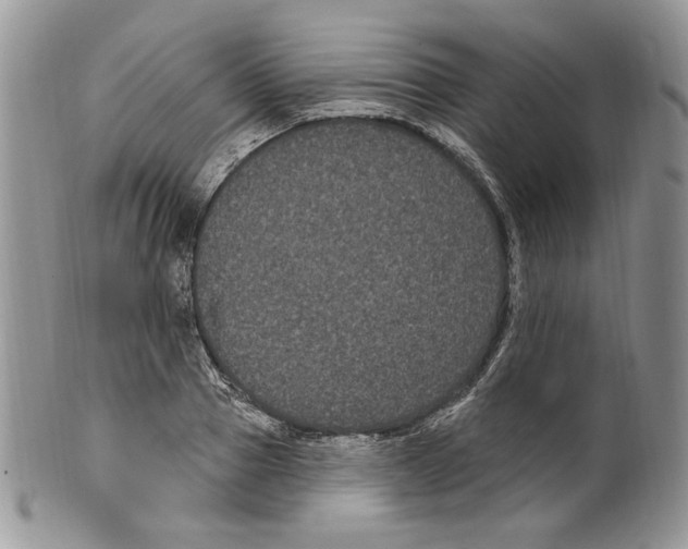 X0000099560937200806131231