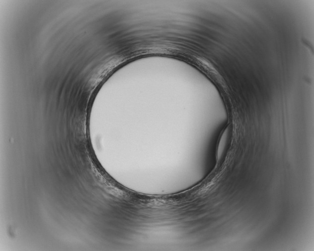 X0000099560938200806131231