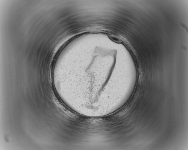 X0000099560939200806131231