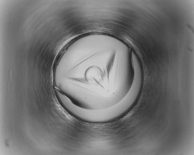 X0000099560940200806131231