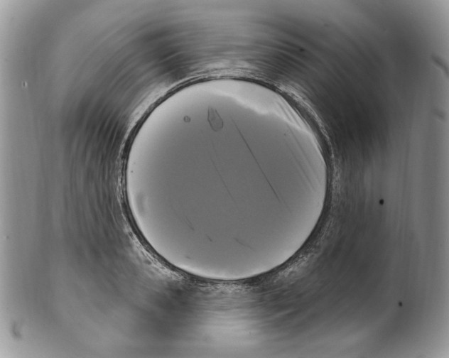 X0000099560941200806131231