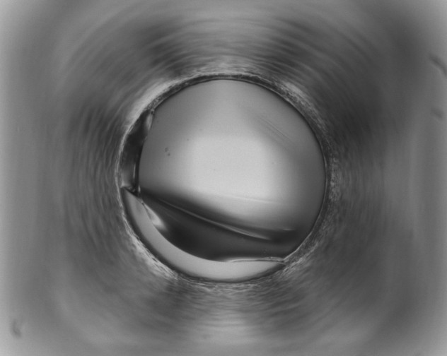 X0000099560942200806131231