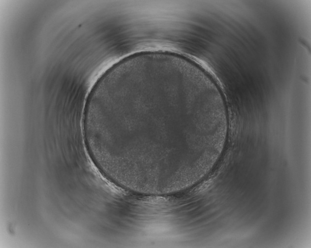 X0000099560943200806131231