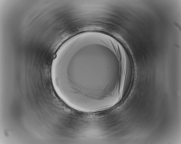 X0000099560945200806131231