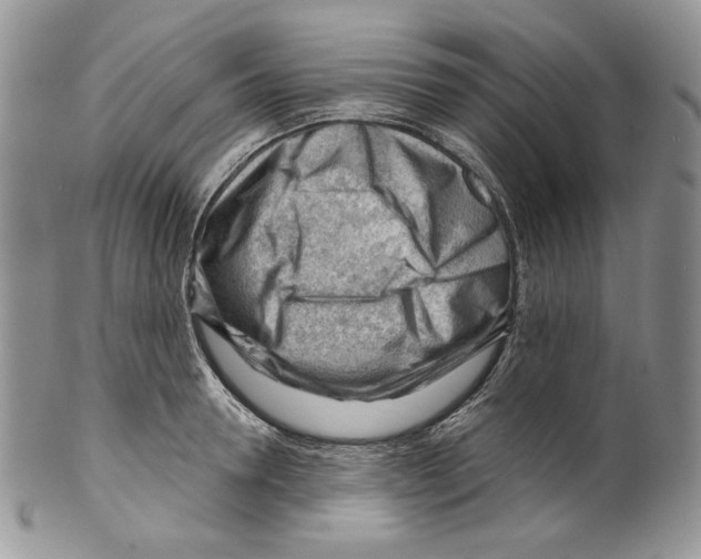 X0000099560946200806131231