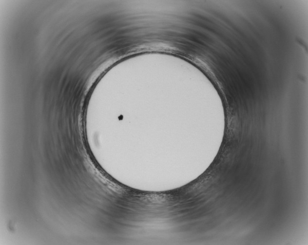 X0000099560947200806131231