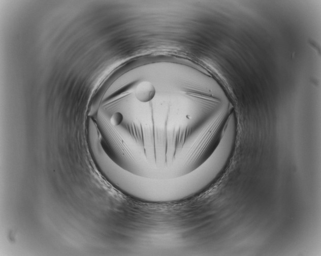 X0000099560948200806131231