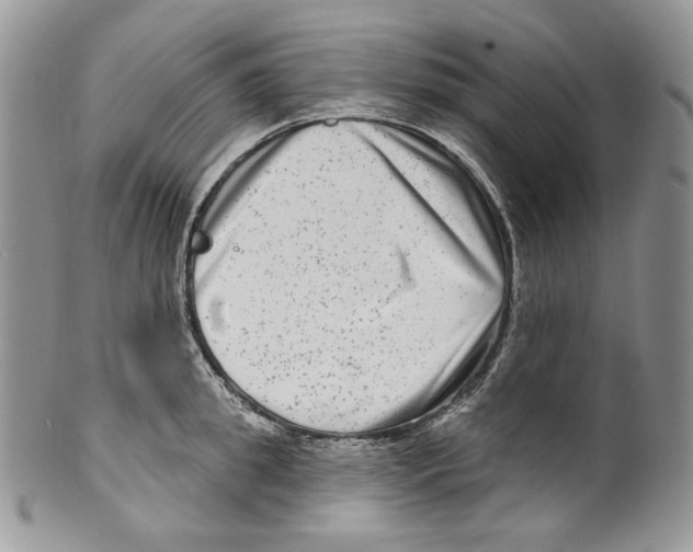 X0000099560949200806131231