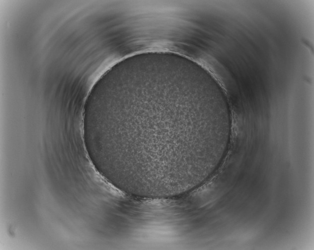 X0000099560950200806131231