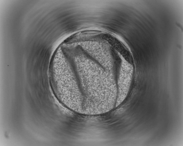 X0000099560951200806131231