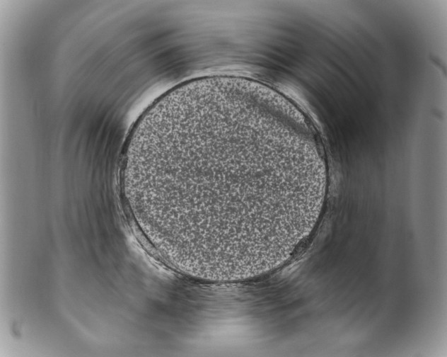 X0000099560952200806131231