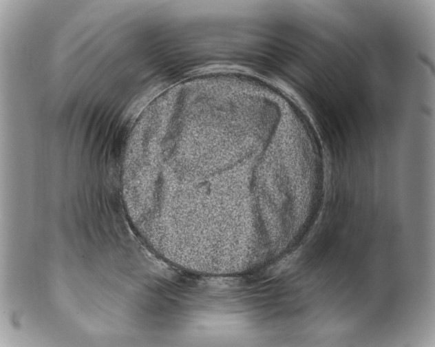 X0000099560953200806131231