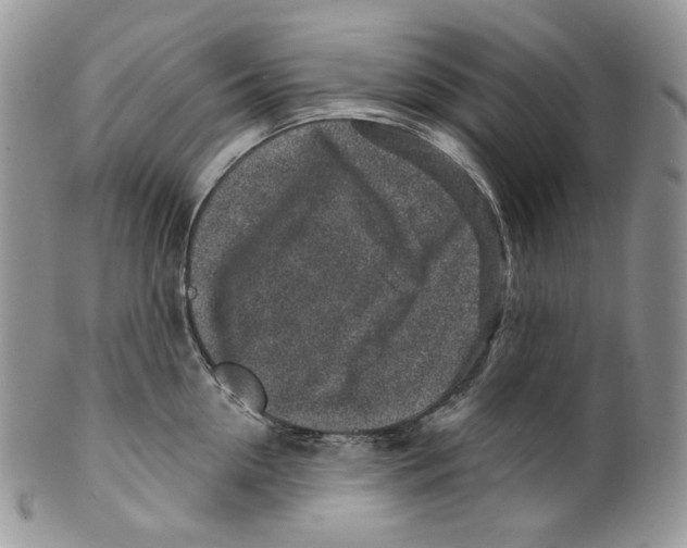 X0000099560954200806131231