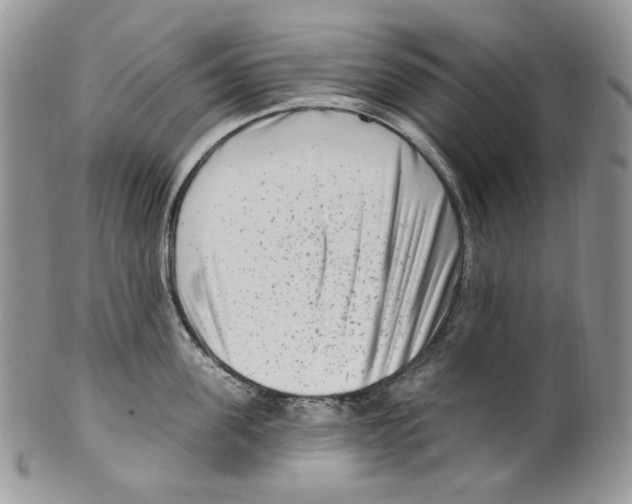 X0000099560955200806131231