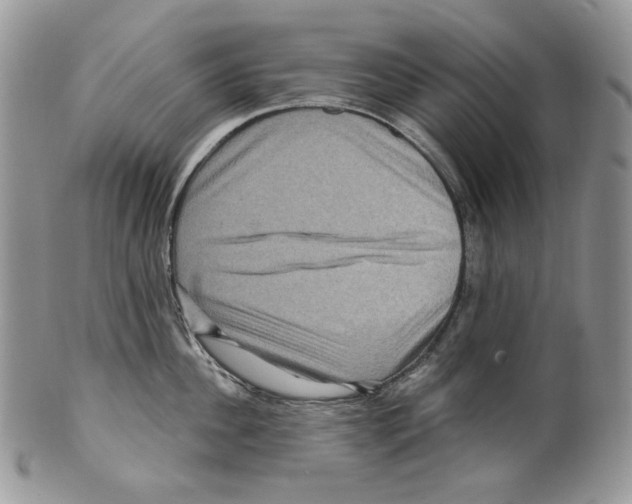 X0000099560956200806131231