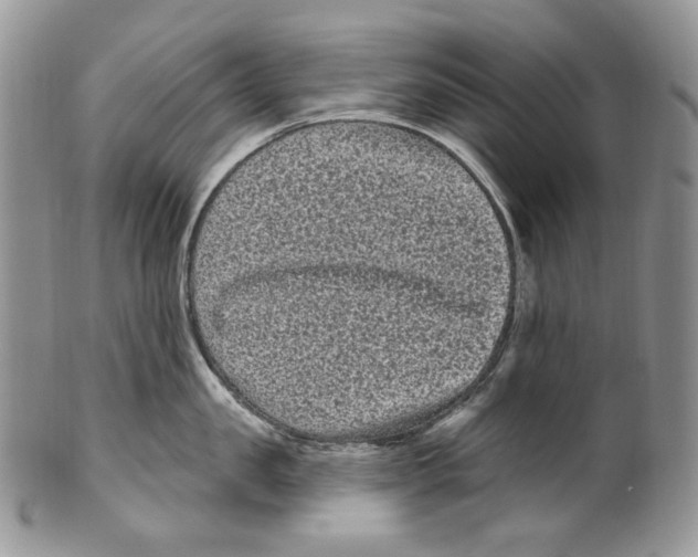 X0000099560957200806131231